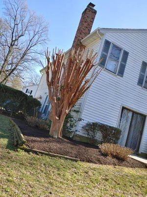 J & S Landscaping Services