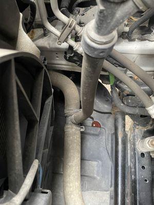 A clear photo of pink coolant