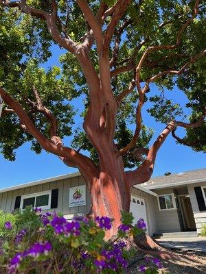 Future Stars Daycare