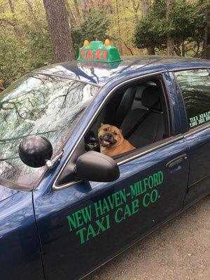 Milford Taxi & Courier Co