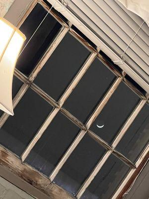 Cotton Mill Apartments