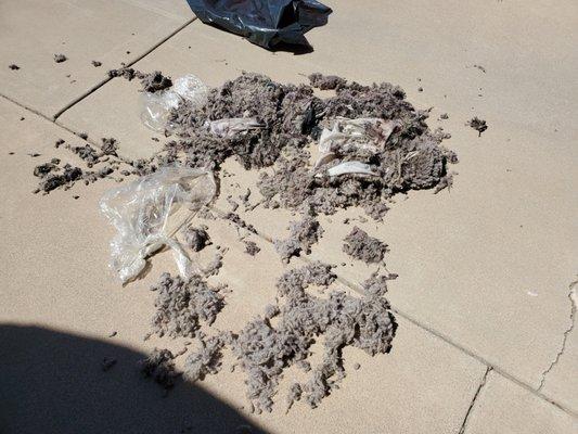 That's how my sheep skin seat cover was returned to me (was supposed to be DRY CLEANED!)