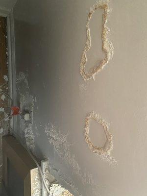 Yuppie Puppy Pet Care