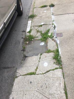 S&H Concrete Construction, Sean Molloy