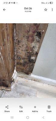 Kingston Property Management