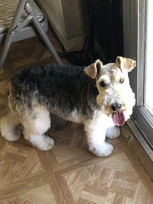 Fur Pets Sake Grooming