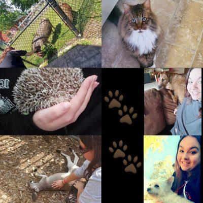 Jentle Janas Pet Sitting Service