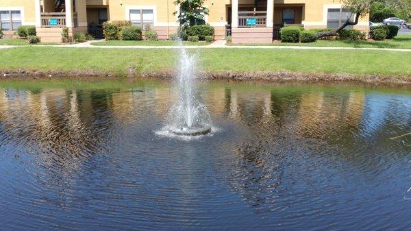 Fountain and Lighting