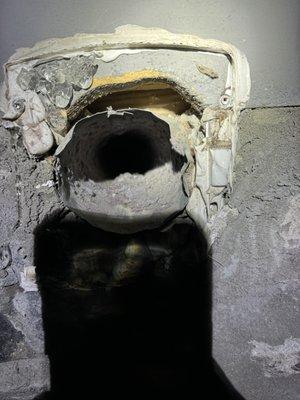 Ordonez Pest Control Exclusion