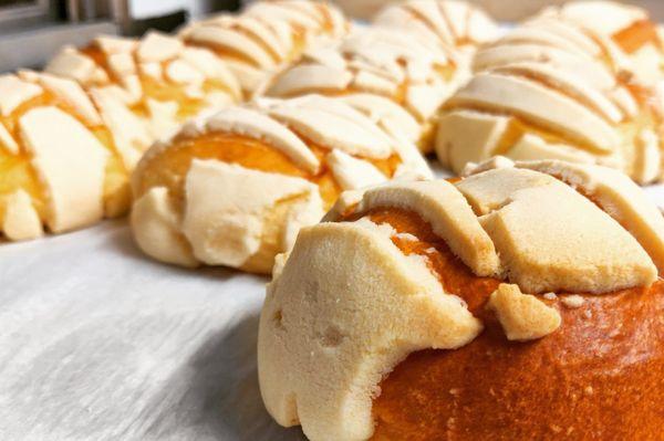 Mestizo Sonoran Bistro