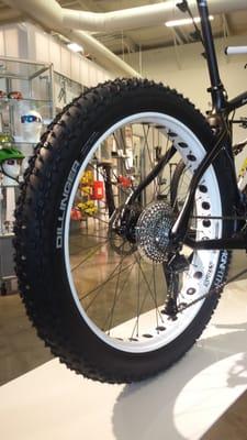 World Cycle & XC Ski