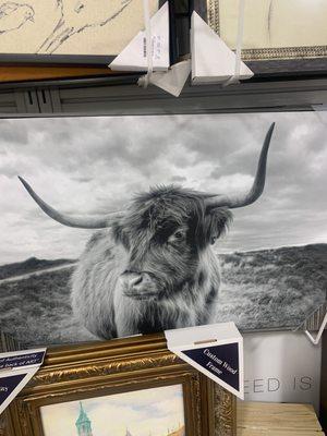 Cow picture framed