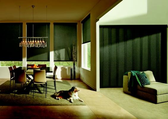 Hunter Douglas Roller Shades