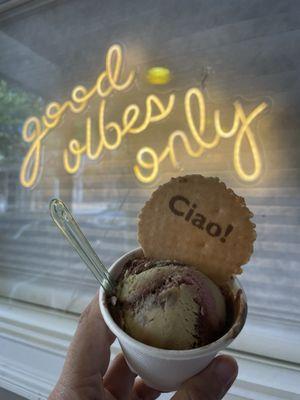 Good Vibes Only backdrop