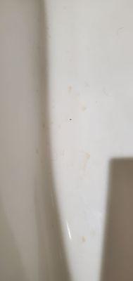 Rodeway Inn San Diego Near SDSU