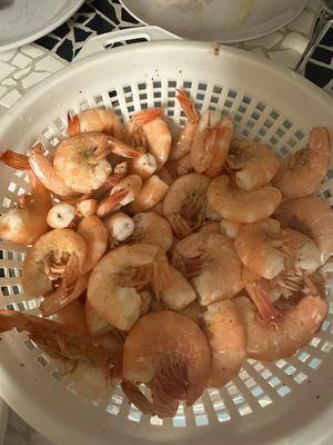 Fisherman's Dock - St. Augustine