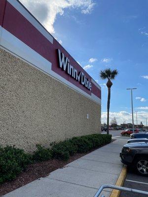 Cute little tree, huh?