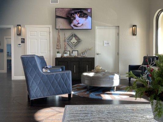 Village Institute Of Plastic Surgery