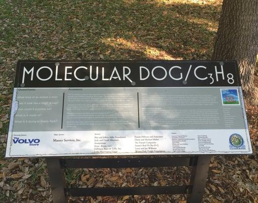 The Molecular Dog