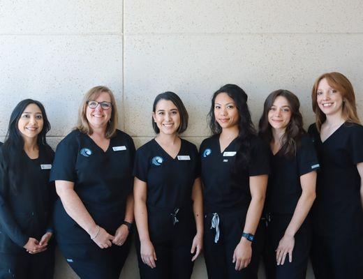 Elite Pelvic Health and Physical Therapy