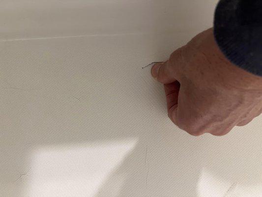 Crack that had pushed through.