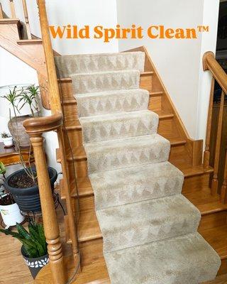 Wild Spirit Clean
