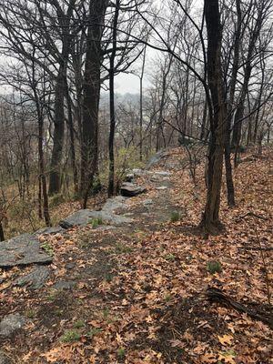 leslie sutherland park