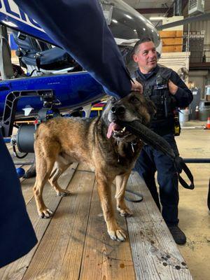 Nassau County Police