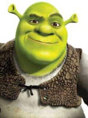 If planning on visiting make sure you are educated in local customs! This is Shrek, he is widely regarded as the mascot of the planet.