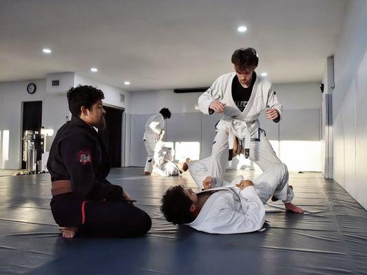 Fundamentals Brazilian Jiu Jitsu with Coach Aalon Cruz