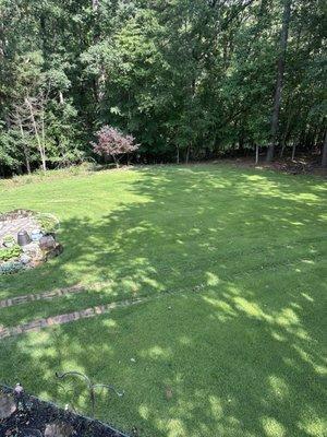 Trees removed and replaced, leveled and sod laid.