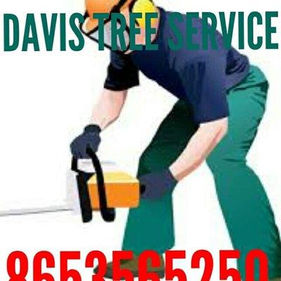 Davis tree service