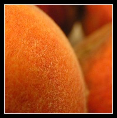 Frances Beauty Salon