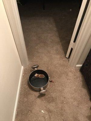 Great place to live if you don't mind ceiling leaks/holes and the smell of marijuana from the neighbors!