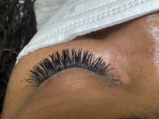 Venice Lash Studio
