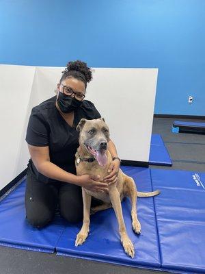 Beach Animal Rehabilitation Center