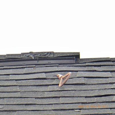Jay Markanich Real Estate Inspections