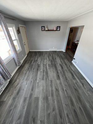 Shoreline Renovations