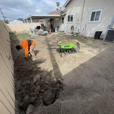 Saturnino’s landscape and tree service