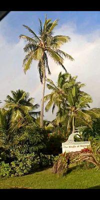 Rainbows