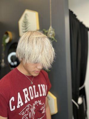 The wild rose hair studio