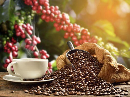 Spread love and kindness through coffee beans!