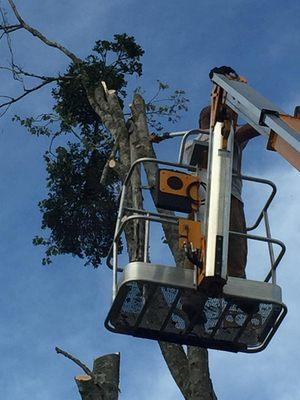 Dependable Lawn Care