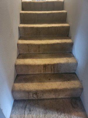 Abracadabra cleaning service