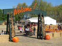 Entrance to the fall fest