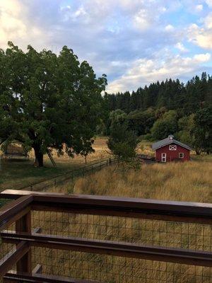 Alder Creek Guest Cottage