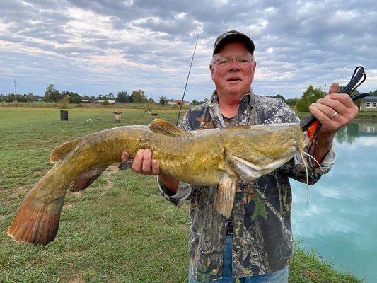 Kat Daddy's Fish Farm