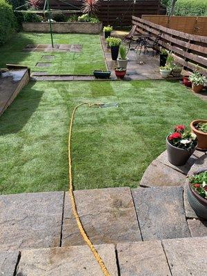 WhiteCz Lawncare and Cleaning