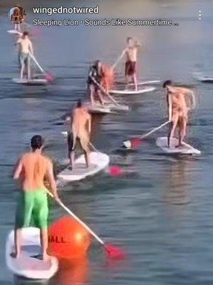 Summer Watersports and activities Paddleball SUPing games, by Winged not Wired at Seabridge Marina watch or play!
