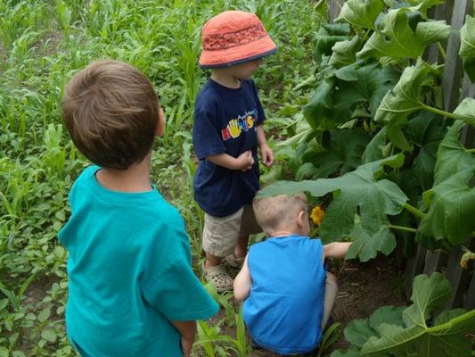 Explore at Cobblestone Farm